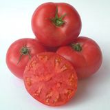 Семена томатов Зинуля Агромакси 0,4 г - купить | Good Harvest