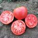 Семена томатов Тарпан F1 Nunhems Zaden 10 шт