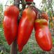 Насіння томатів Червоний Мустанг Gl Seeds 0,15 г