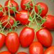 Насіння томатів Іскорка 0,2 г