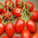 Семена томатов Искорка 10 г