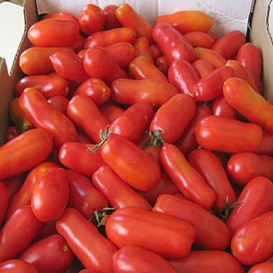 Семена томатов Сан Маржано 0,2 г 11.1385 фото