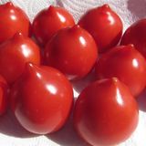 Насіння томатів Гібрид Тарасенко-2 червоний Gl Seeds 0,1 г - купить | Good Harvest