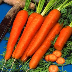 Насіння моркви Дитяча Солодка Яскрава 20 г 11.2436 фото