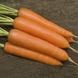 Семена моркови Монанта Rijk Zwaan 1 г