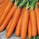 Семена моркови Монанта Rijk Zwaan 1 г