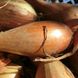 Бірнформіге (Бамбергер) цибуля саджанка Top Onion Нідерланди 0,5 кг
