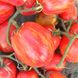 Насіння томатів Кабанята Gl Seeds 0,1 г