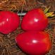 Насіння томатів Орлиний дзьоб Gl Seeds 0,15 г
