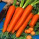 Семена моркови Детская Сладкая Яскрава 20 г