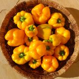 Семена перца Тореадор Еллоу Anseme 0,2 г - купить | Good Harvest