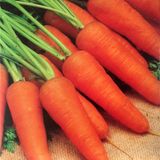 Насіння моркви Ред Кор Gl Seeds 20 г - купить | Good Harvest