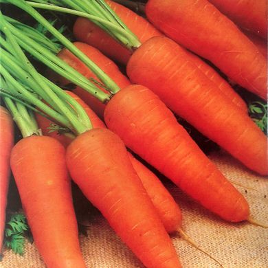 Семена моркови Ред Кор Gl Seeds 20 г 11.1833 фото