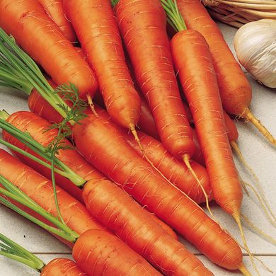 Насіння моркви Вітамінна Яскрава 20 г 11.2730 фото