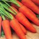 Семена моркови Ред Кор Gl Seeds 20 г