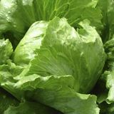 Насіння салату качанного Грейт Лейкс тип Айсберг Hem Zaden 0,3 г - купити | Good Harvest