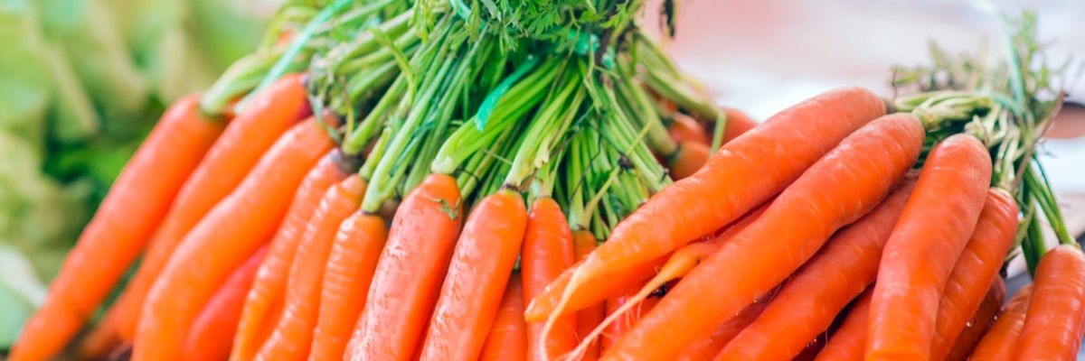 Кращі сорти моркви для підзимового посіву дізнатися більше