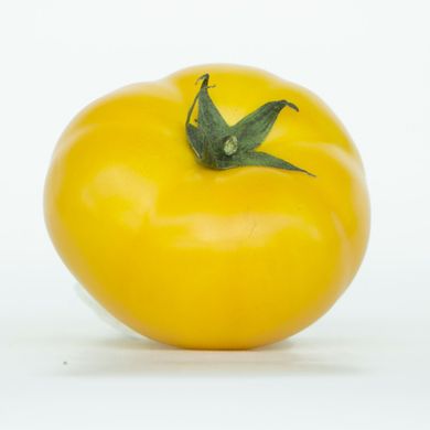 Семена томатов KS 17 F1 биф томат Kitano Seeds Леда 10 шт 11.2457 фото