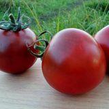 Насіння томатів Віагра Gl Seeds 0,1 г - купить | Good Harvest