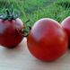 Семена томатов Виагра Gl Seeds 0,1 г