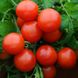 Насіння томатів Агата 0,2 г