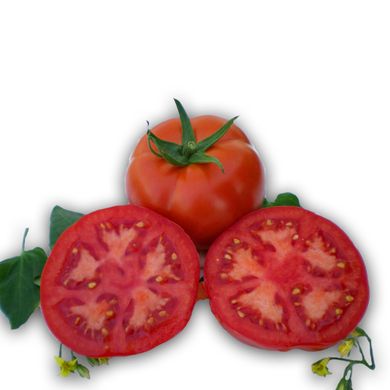 Насіння томатів Мейс F1 Yuksel Tohum Леда 20 шт 11.2463 фото