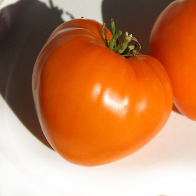 Насіння томатів Лукум безрозсадний Агромаксі 0,4 г 11.1335 фото