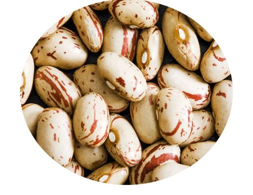 Семена фасоли на зерно Борлетто кустовая 20 г 11.0418 фото