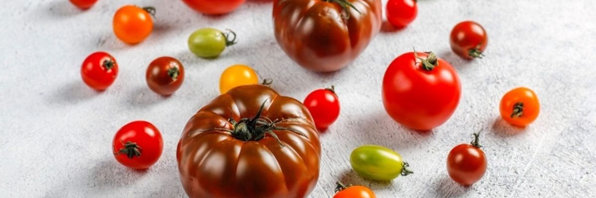 Топ 10 сортов томатов в 2022 году узнать больше