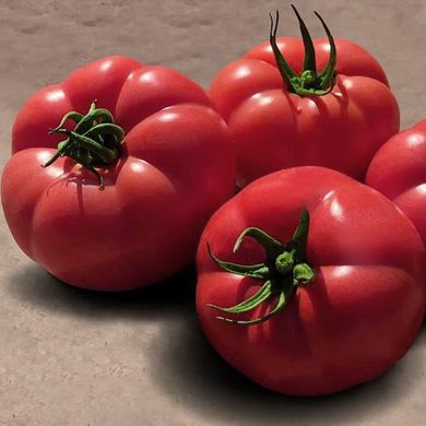Насіння томатів Пінк Хіт F1 Yuksel Tohum Леда 10 шт 11.2467 фото