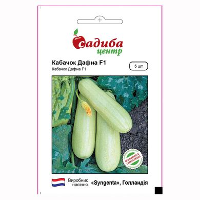 Семена кабачков Дафна F1 Syngenta 5 шт 11.1718 фото