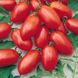 Семена томатов Денар Satimex Садыба 0,2 г