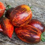 Насіння томатів Гаргамель Буш Сонячний Март 12 шт - купити | Good Harvest