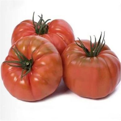Насіння томатів Ред Кой F1 Yuksel Tohum Леда 5 шт 11.2468 фото