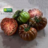 Насіння томатів Браун Кой F1 Yuksel Tohum Леда 5 шт - купить | Good Harvest