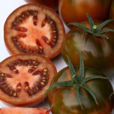 Насіння томатів Сашер F1 Yuksel Tohum Леда 5 шт 11.2469 фото
