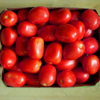 Насіння томатів Пето-86 0,1 г 11.1380 фото