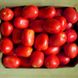 Насіння томатів Пето-86 0,1 г