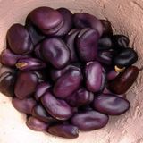 Насіння бобів Екстра Грано Віолетта GL 15 г - купить | Good Harvest