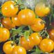 Насіння томатів Вернісаж жовтий 0,1 г