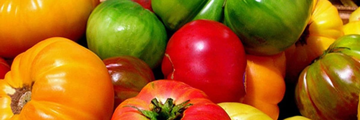 Рейтинг сортов томатов 2020 узнать больше