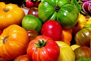 Рейтинг сортов томатов 2020 узнать больше