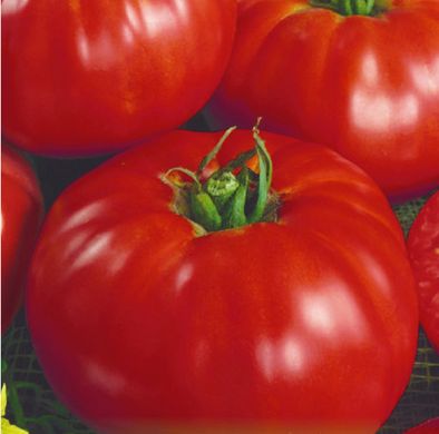 Семена томатов Нужный размер 0,1 г 11.1293 фото