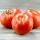 Насіння томатів Ігранда Садиба 0,1 г