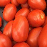 Семена томатов Маруся Садыба 0,2 г - купить | Good Harvest