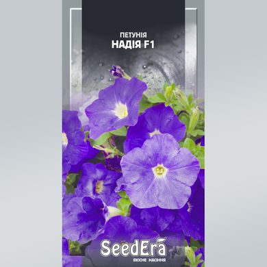 Семена петунии крупноцветковая низкорослая Надия F1 10 шт 10.0902 фото