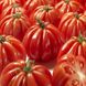 Насіння томатів Американський ребристий 0,1 г