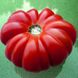 Насіння томатів Американський ребристий 0,1 г
