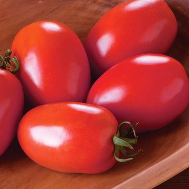 Насіння томатів Ріо Гранде 10 г 11.1381 фото