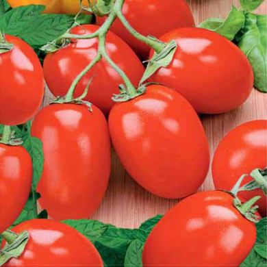 Насіння томатів Ріо Фуего 0,1 г 11.1382 фото